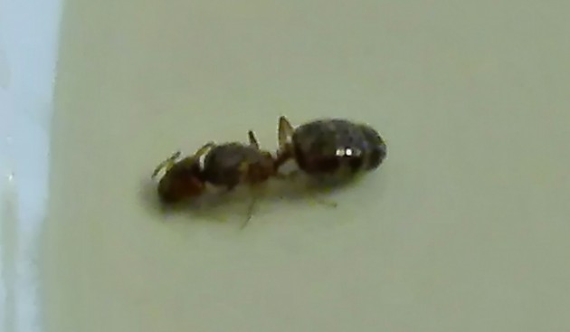 _20180528_202219.JPG