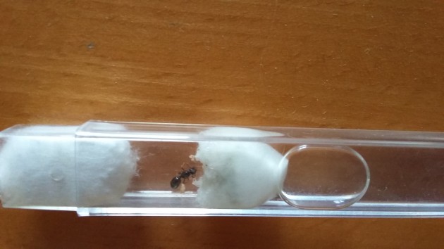 20180529_182707.jpg