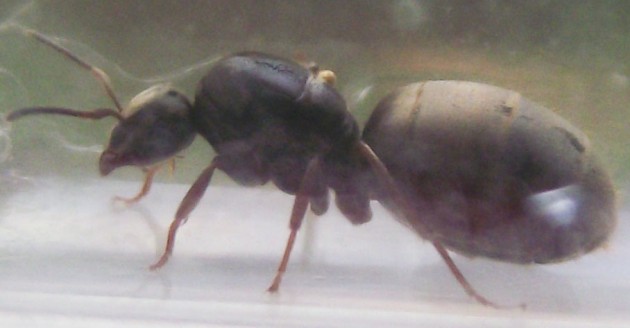 DSCF3759.JPG