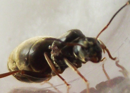 DSCF3761.JPG