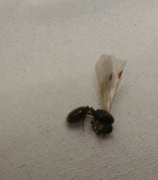 20180618_203618-1.jpg