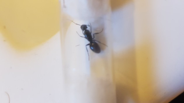 IMG-20180614-WA0038.jpeg