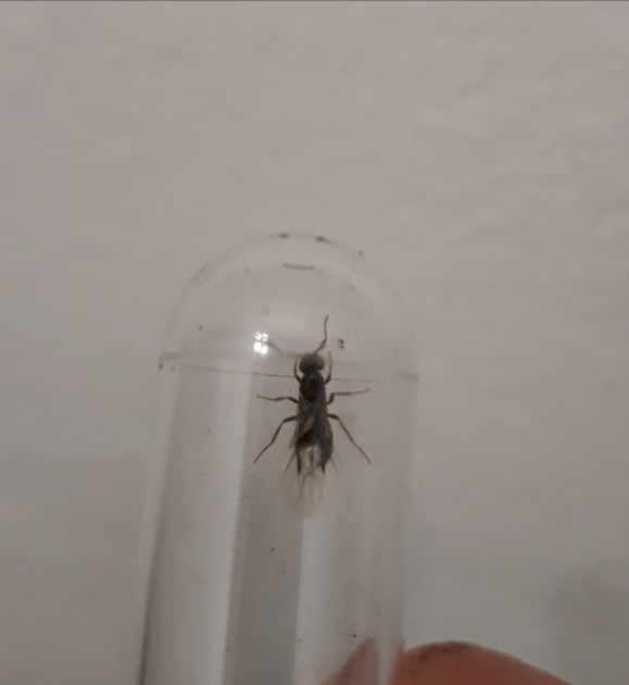 20180625_163029.jpg