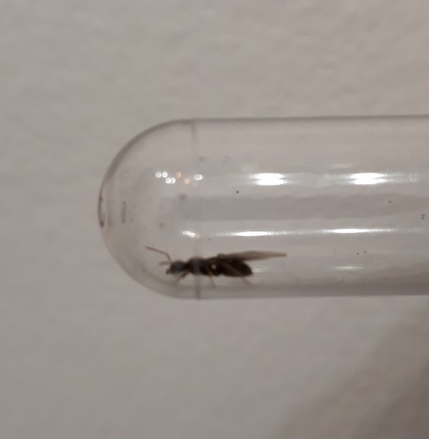 20180625_163642.jpg