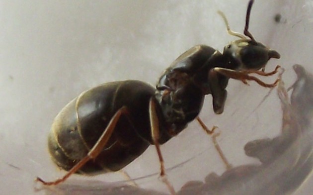 DSCF3762.JPG