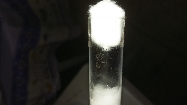 20180628_232043.jpg