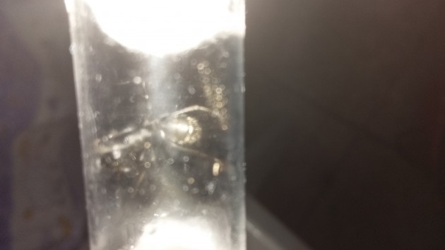 20180628_232025.jpg