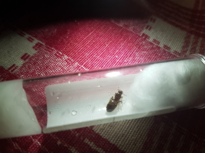 20180629_222221.jpeg