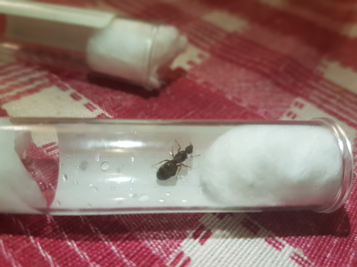 20180629_222040.jpeg