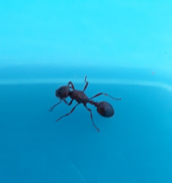 20180630_210626.jpg