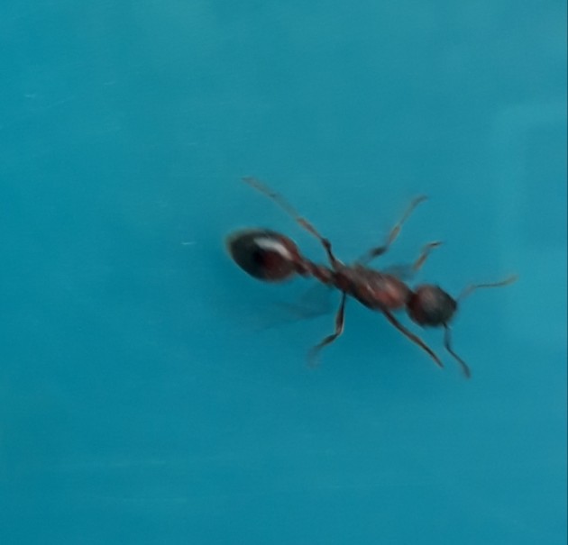 20180630_210652.jpg