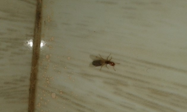 20180713_193141.jpg