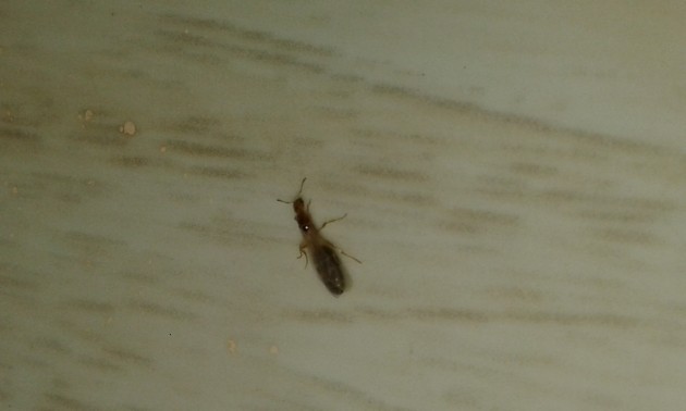20180713_193149.jpg