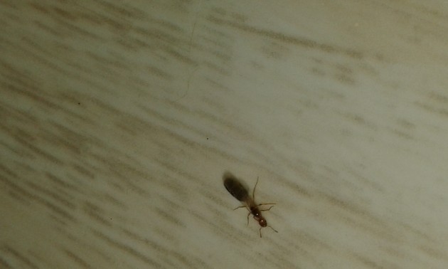 20180713_193201.jpg