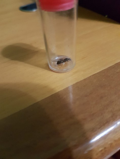 IMG-20180714-WA0004.jpg
