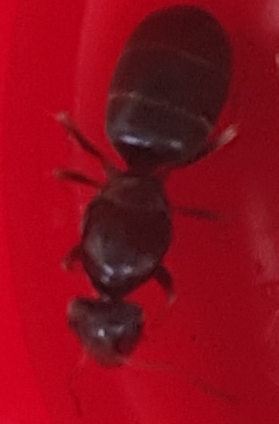 20180715_201235.jpg