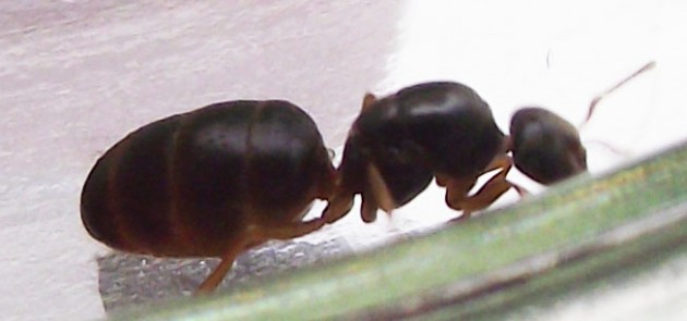 DSCF3765.JPG