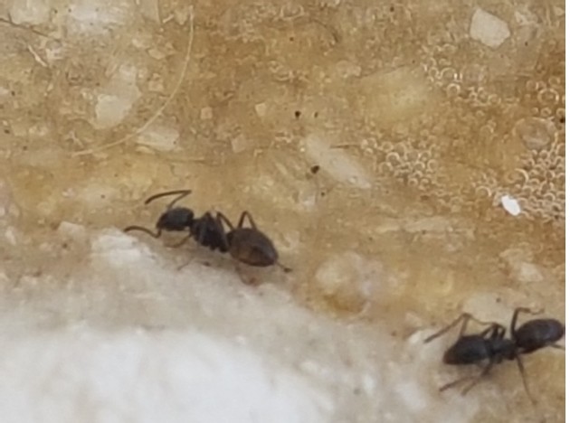 20180723_131223.jpg