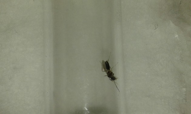 20180727_002436.jpg