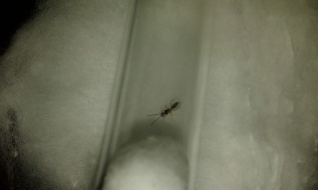 20180727_003514.jpg