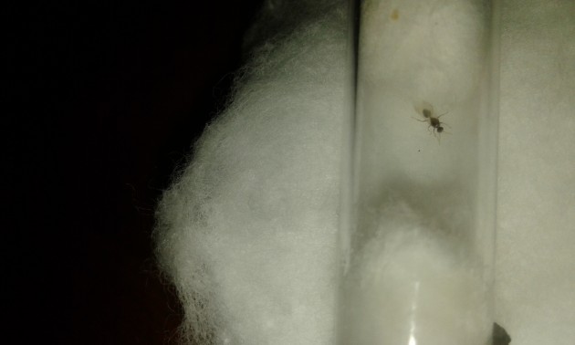 20180727_003941.jpg
