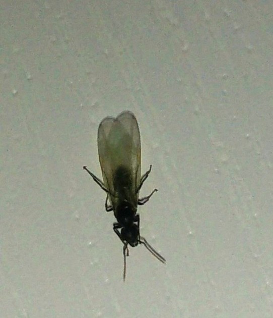 IMG_20180727_224534.jpg
