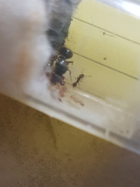 20180727_235543.jpg