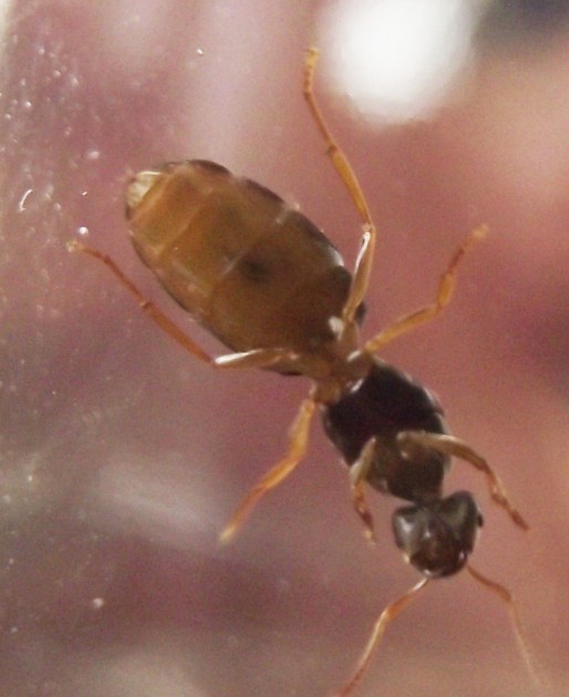 DSCF3769.JPG