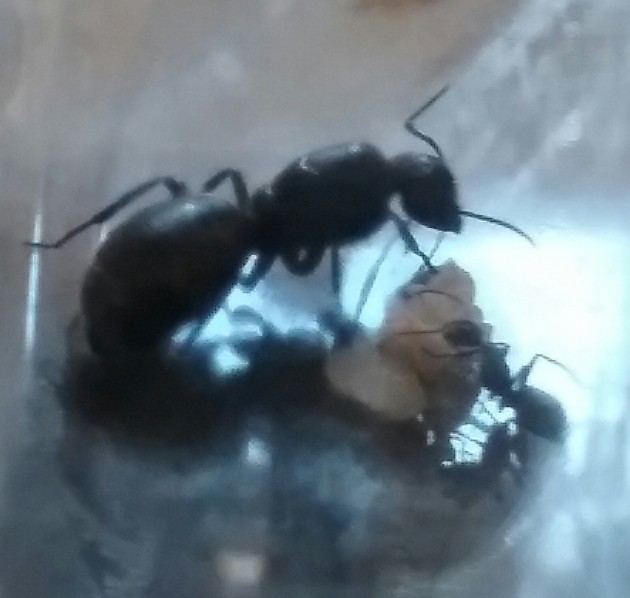 20180811_132630.jpg