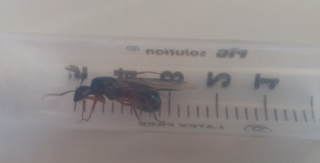 20180818_130942.jpg