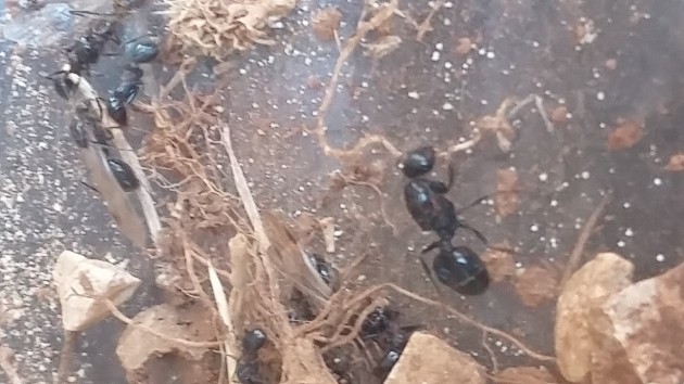 20180825_082444.jpg