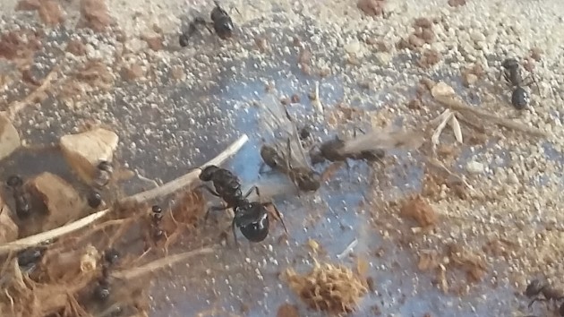20180825_082458.jpg