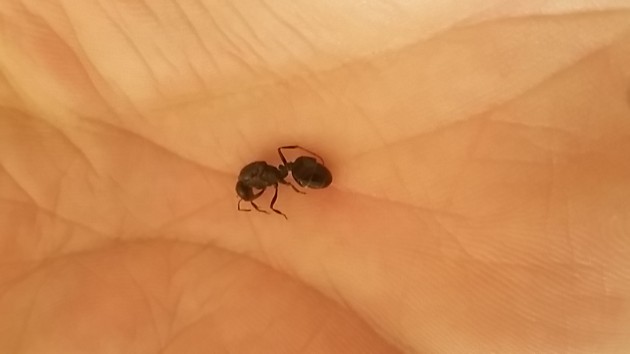 20180826_092556.jpg