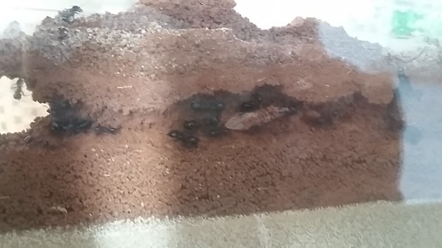 20180826_095253.jpg