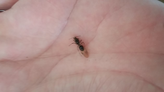 20180826_101723.jpg