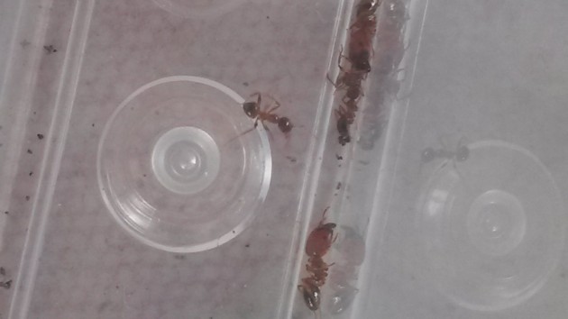 20180903_160345.jpg