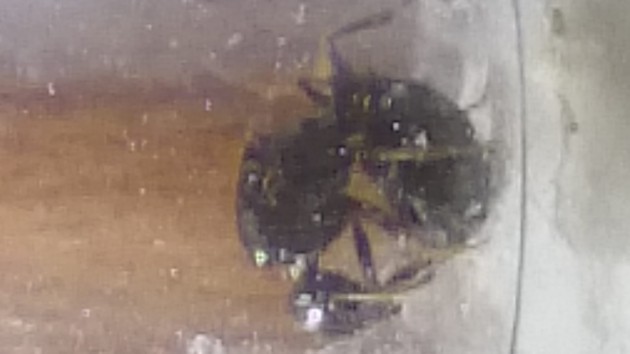 20180910_204558.jpg