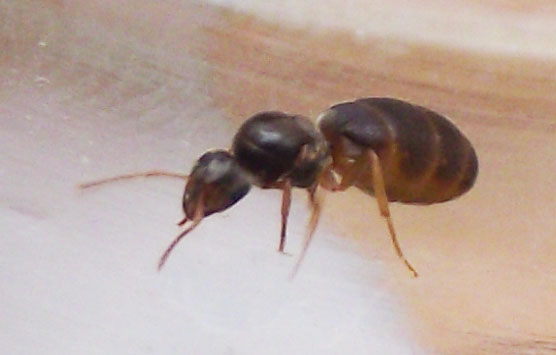 DSCF3771.JPG