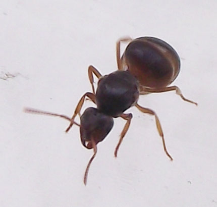 DSCF3772.JPG