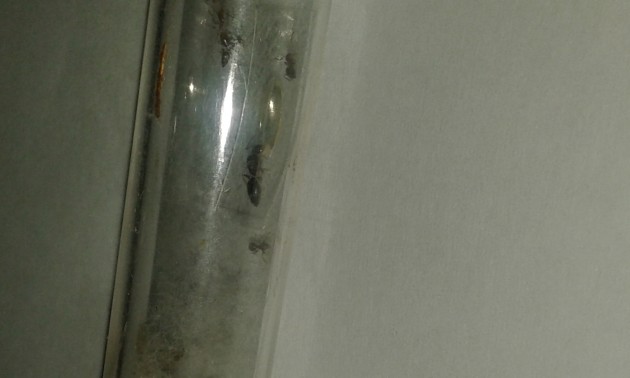 20181029_092408.jpg
