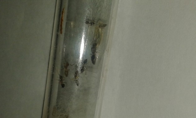 20181029_092432.jpg