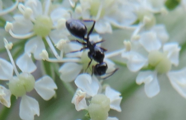 crop5.jpg