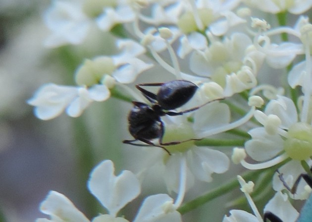 crop6.jpg