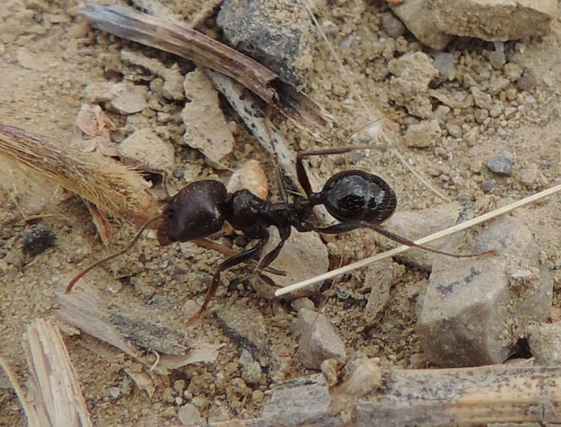 DSCN1584.JPG