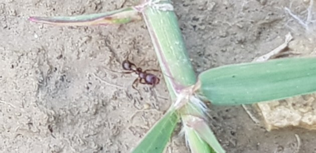 20190507_155941.jpg