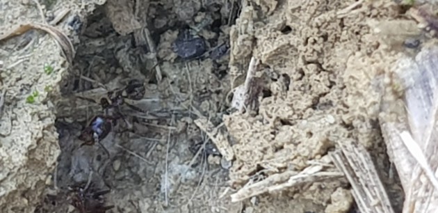 20190507_155920.jpg