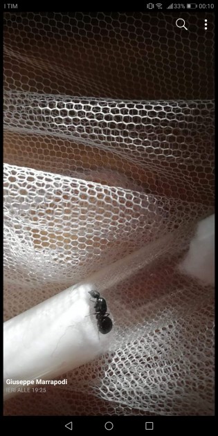 Screenshot_20190602-001000.jpg