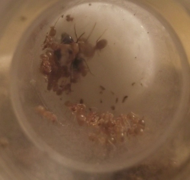 DSCF5257.JPG