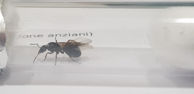 20190613_204503.jpg