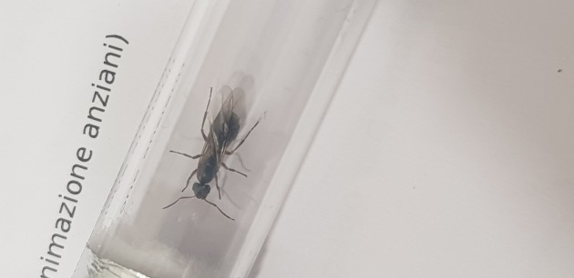 20190613_204453.jpg